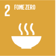 Objetivo 2: Fome zero